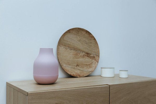 Top conseils pour un élagage efficace à cannes pour votre jardin