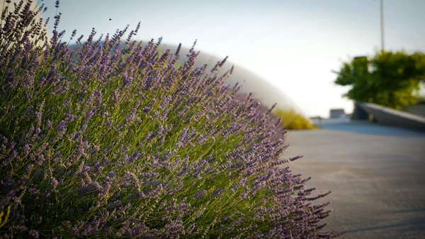 Intervention express pour dépannage urgent de plomberie à annecy